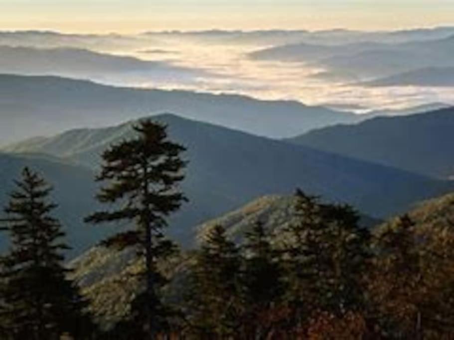 1 Mi To Dollywood Mins To All Attractions & Gsmnp Sevierville Luaran gambar
