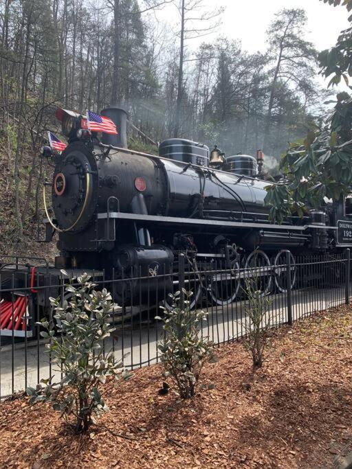 1 Mi To Dollywood Mins To All Attractions & Gsmnp Sevierville Luaran gambar